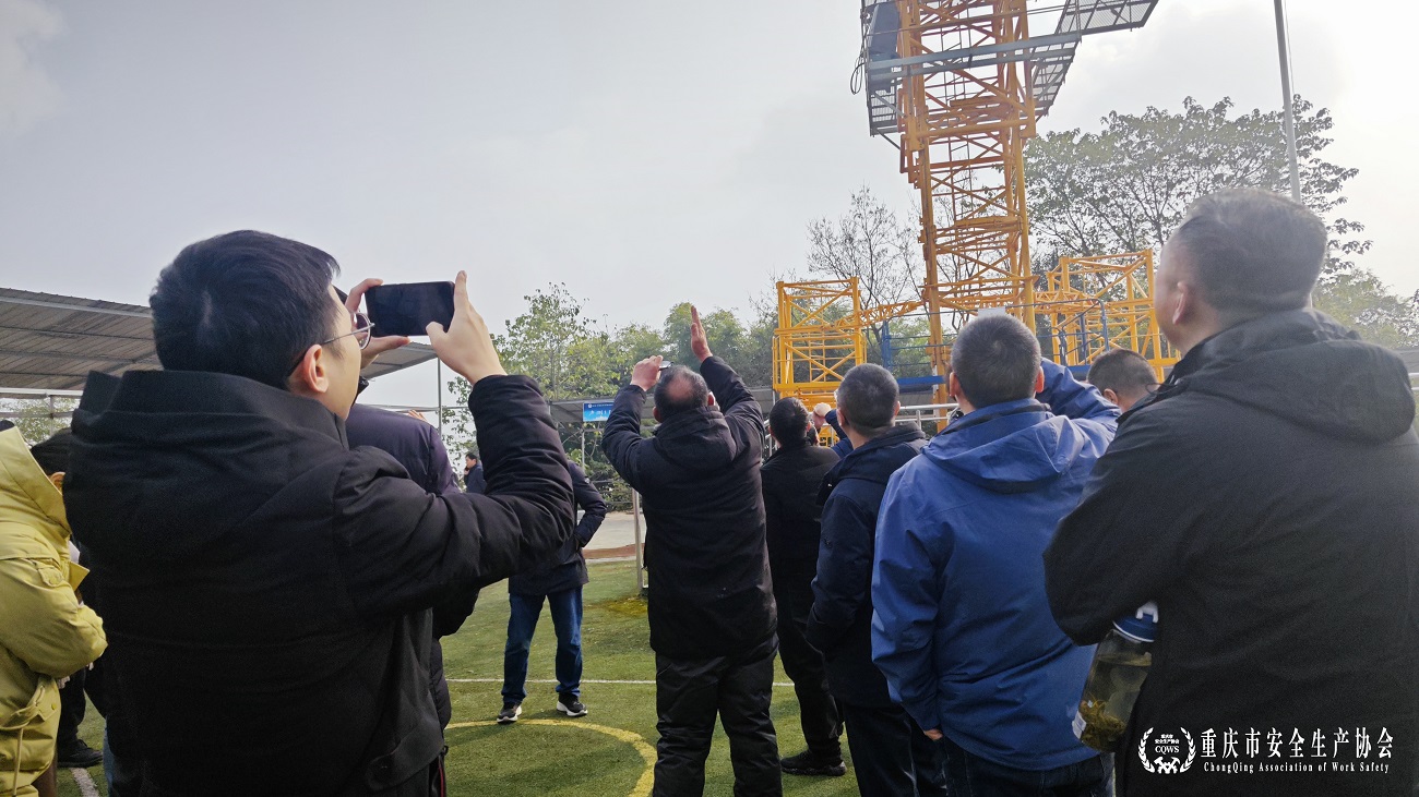 MVIMG_20241226_112538 MVIMG_20241226_112538